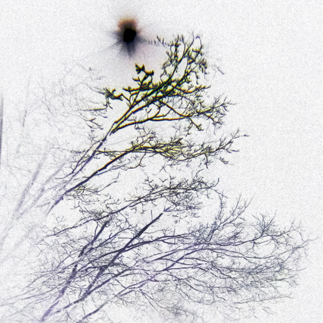 Between the Breeze album cover